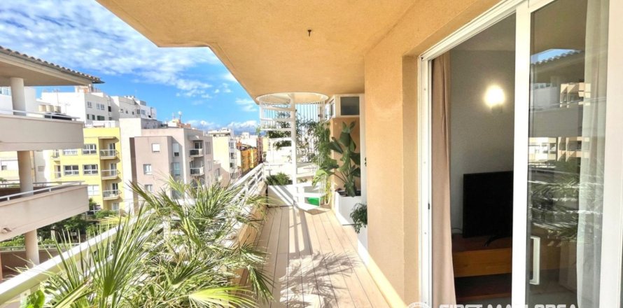 Kattohuoneisto Palma de Majorca, Mallorca, Espanja 3 makuuhuonetta, 132 m2 No. 167306