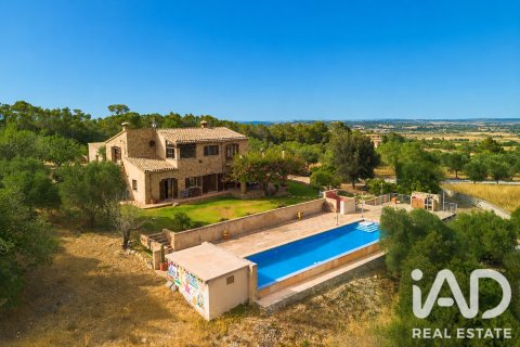 Hus till salu i Petra, Mallorca, Spanien 7 sovrum, 450 kvm. Nr. 196568 - foto 3