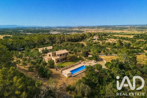 Hus i Petra, Mallorca, Spanien 7 sovrum, 450 kvm. Nr. 196568