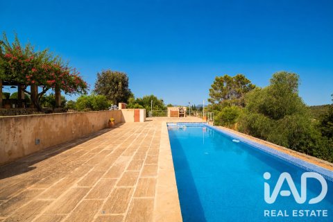 Hus till salu i Petra, Mallorca, Spanien 7 sovrum, 450 kvm. Nr. 196568 - foto 8