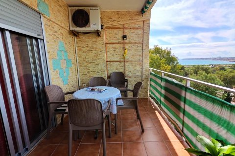 Квартира в Торревьеха, Аликанте, Испания 2 спальни, 65м2 №165928