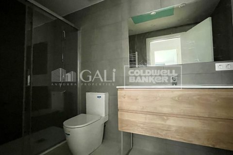 Apartment à vendre à Principado De Andorra (Ninguna Poblacion Tiene C.P.), Lleida, Espagne, 2 chambres, 83 m2 No. 178696 - photo 2