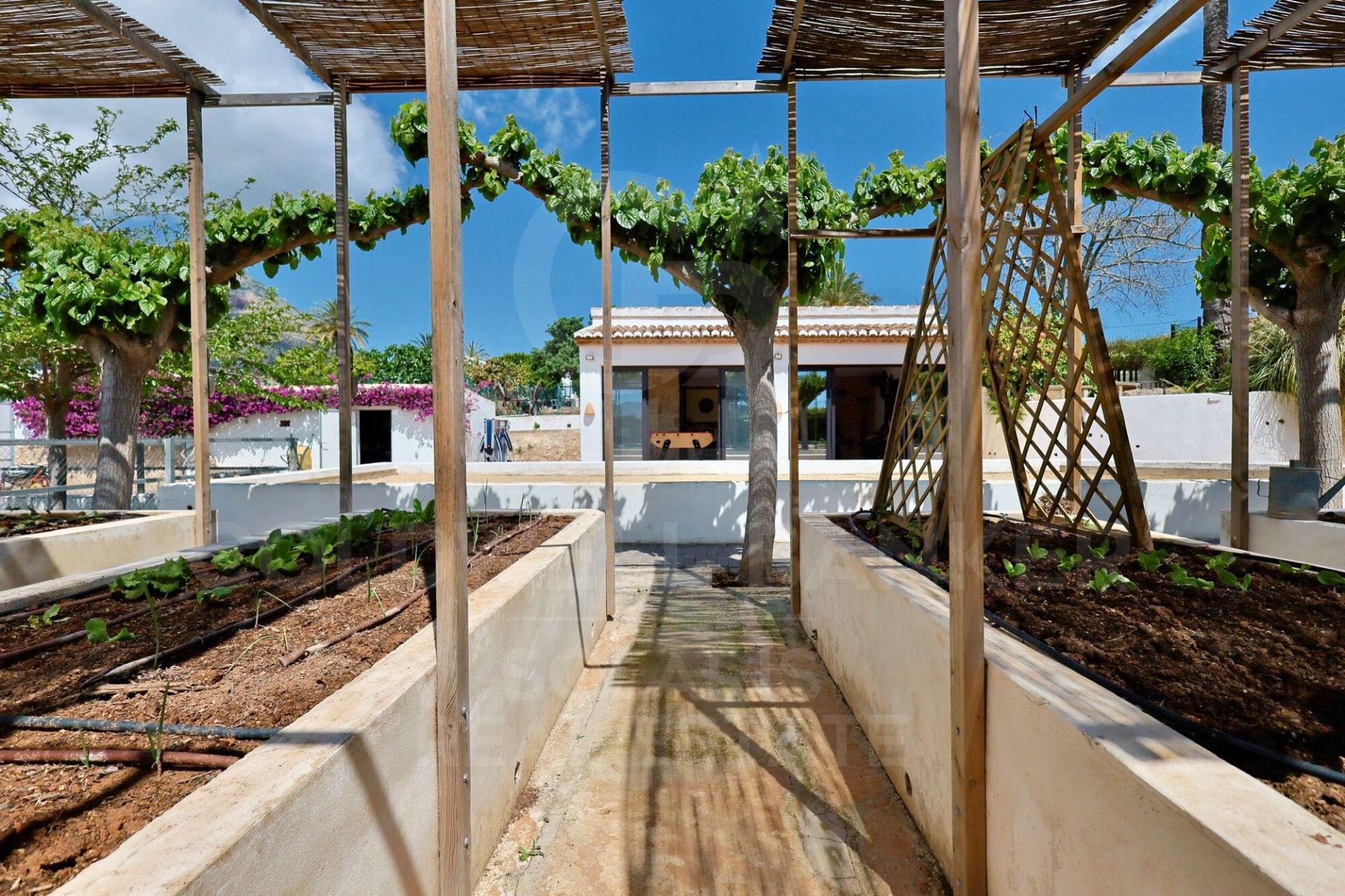 Māja Javea, Alicante, Spānijā 6 istabas, 405 m2 Nr. 178691