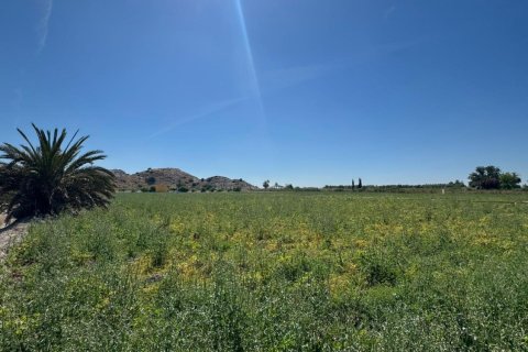 Finca pārdošanā Cox, Alicante, Spānijā 2 istabas, 100 m2 Nr. 189740 - attēls 15