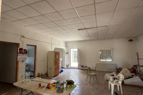 Finca pārdošanā Cox, Alicante, Spānijā 2 istabas, 100 m2 Nr. 189740 - attēls 19
