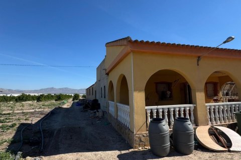 Finca pārdošanā Cox, Alicante, Spānijā 2 istabas, 100 m2 Nr. 189740 - attēls 3
