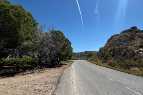 Finca pārdošanā Cox, Alicante, Spānijā 2 istabas, 100 m2 Nr. 189740 - attēls 17