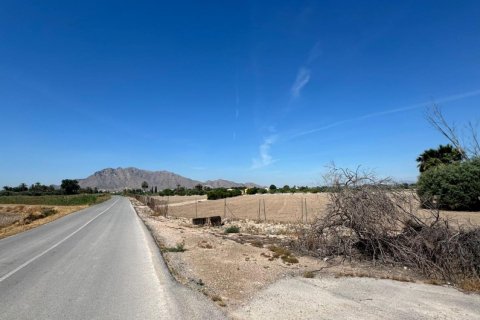 Finca pārdošanā Cox, Alicante, Spānijā 2 istabas, 100 m2 Nr. 189740 - attēls 14