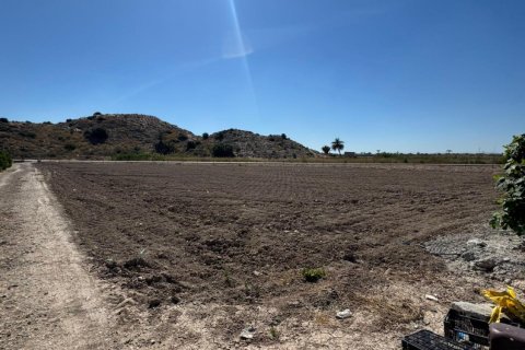 Finca pārdošanā Cox, Alicante, Spānijā 2 istabas, 100 m2 Nr. 189740 - attēls 7