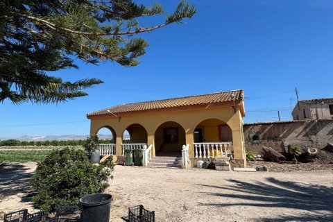 Finca pārdošanā Cox, Alicante, Spānijā 2 istabas, 100 m2 Nr. 189740 - attēls 12