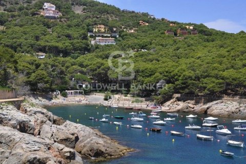 Māja pārdošanā Begur, Girona, Spānijā 4 istabas, 250 m2 Nr. 160411 - attēls 6