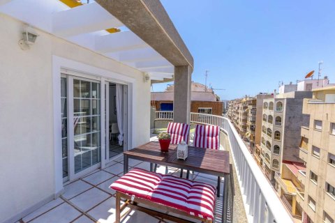 Apartament Torrevieja, Alicante, Hiszpania 3 sypialnie, 117 mkw. nr 137809 – zdjęcie 23