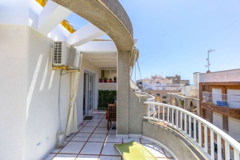 Apartament Torrevieja, Alicante, Hiszpania 3 sypialnie, 117 mkw. nr 137809 – zdjęcie 24