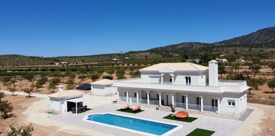 Villa à Pinoso, Alicante, Espagne 6 chambres, 270 m2 No. 142337