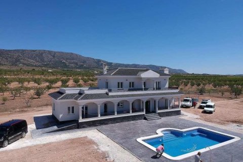 Villa in vendita a Pinoso, Alicante, Spagna 4 camere da letto, 245 mq. N° 142336 - foto 14