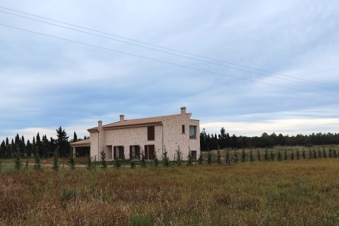 Finca vuokrattavana Algaida, Mallorca, Espanja, 4 makuuhuonetta, 465 m2 No. 166611 - kuva 8