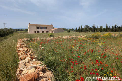 Finca in affitto a Algaida, Mallorca, Spagna 4 camere da letto, 465 mq. N° 166611 - foto 11