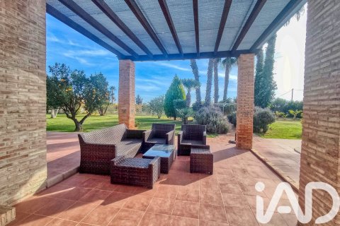 House for sale in Elche, Alicante, Spain 5 bedrooms, 386 sq.m. No. 173091 - photo 13