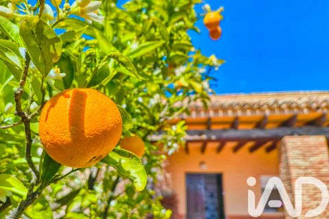 House for sale in Elche, Alicante, Spain 5 bedrooms, 386 sq.m. No. 173091 - photo 8