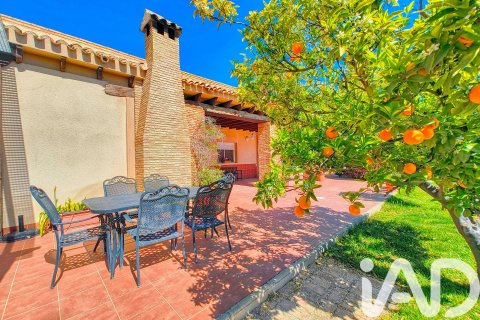House for sale in Elche, Alicante, Spain 5 bedrooms, 386 sq.m. No. 173091 - photo 27