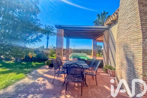 House for sale in Elche, Alicante, Spain 5 bedrooms, 386 sq.m. No. 173091 - photo 15