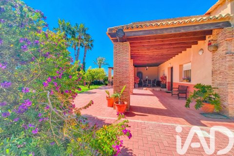 House for sale in Elche, Alicante, Spain 5 bedrooms, 386 sq.m. No. 173091 - photo 30