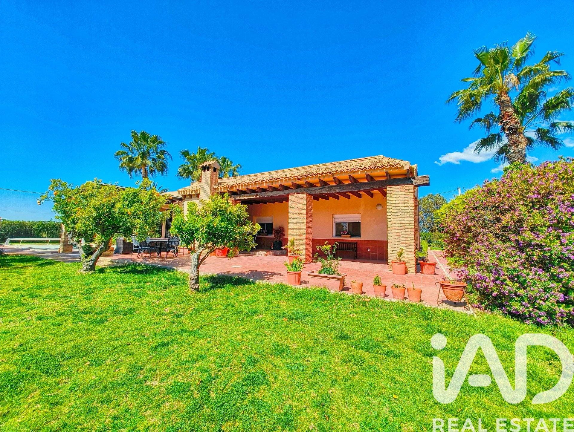 Casa a Elche, Alicante, Spagna 5 camere da letto, 386 mq. N° 173091