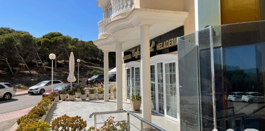 Kawiarnia / restauracja w Guardamar del Segura, Alicante, Hiszpania 2 sypialnie, 220 mkw. nr 173095