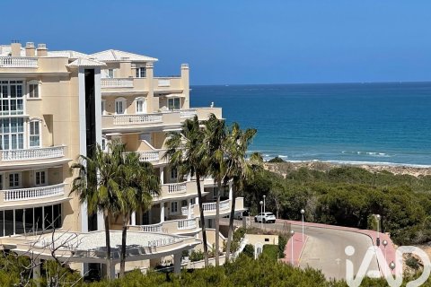 Kawiarnia / restauracja w Guardamar del Segura, Alicante, Hiszpania 2 sypialnie, 220 mkw. nr 173095 – zdjęcie 20