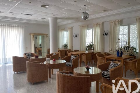 Kawiarnia / restauracja w Guardamar del Segura, Alicante, Hiszpania 2 sypialnie, 220 mkw. nr 173095 – zdjęcie 11