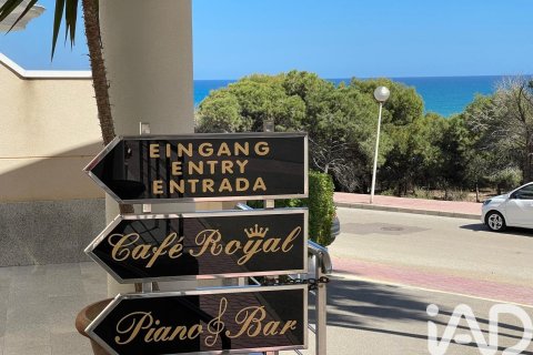 Kawiarnia / restauracja w Guardamar del Segura, Alicante, Hiszpania 2 sypialnie, 220 mkw. nr 173095 – zdjęcie 5