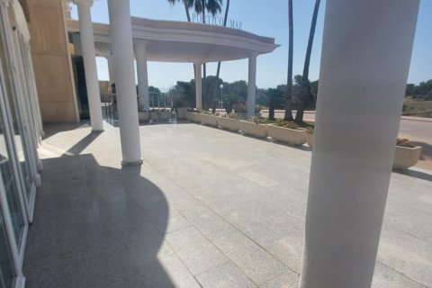 Kawiarnia / restauracja w Guardamar del Segura, Alicante, Hiszpania 2 sypialnie, 220 mkw. nr 173095 – zdjęcie 23