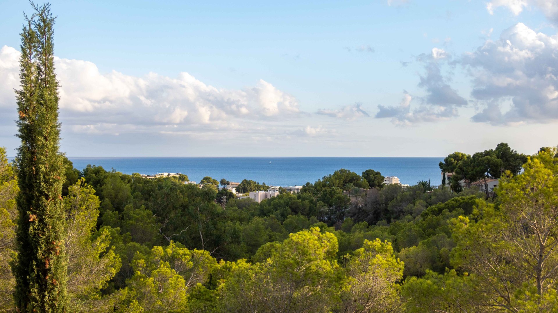Villa i Costa D'en Blanes, Mallorca, Spanien 4 sovrum, 327 kvm. Nr. 155030