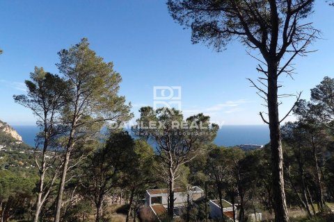 Land plot for sale in Begur, Girona, Spain 1560 sq.m. No. 177031 - photo 8