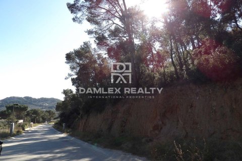 Land plot for sale in Begur, Girona, Spain 1560 sq.m. No. 177031 - photo 5