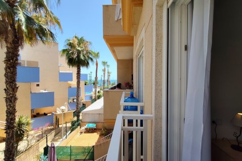 Lägenhet till salu i Cabo Roig, Alicante, Spanien 2 sovrum, 83 kvm. Nr. 190052 - foto 16