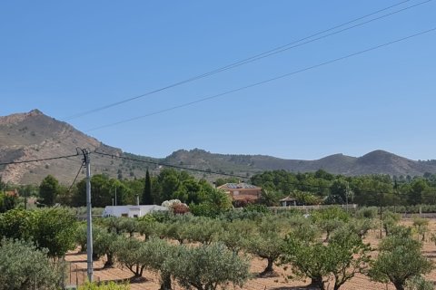 Villa en venta Yecla, Murcia, España 5 dormitorios, 175 m2 No. 133292 - foto 20
