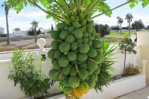 Villa en venta en Torrevieja, Alicante, España 3 dormitorios, 120 m2 No. 164450 - foto 11