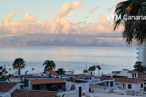 Penthouse à vendre à Acantilado De Los Gigantes, Tenerife, Espagne, 1 chambre, 1 m2 No. 179486 - photo 26