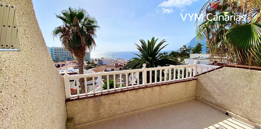 Penthouse à Acantilado De Los Gigantes, Tenerife, Espagne 1 chambre, 1 m2 No. 179486