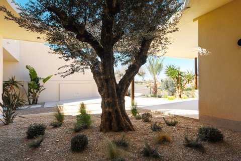 Villa in vendita a La Marina, Alicante, Spagna 4 camere da letto, 305 mq. N° 179489 - foto 4