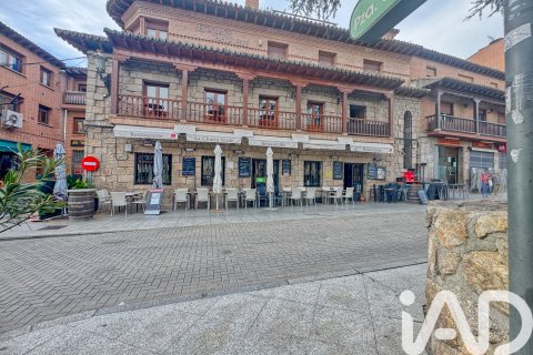 Komerciāls īpašums pārdošanā Manzanares el Real, Madrid, Spānijā 370 m2 Nr. 172847 - attēls 26