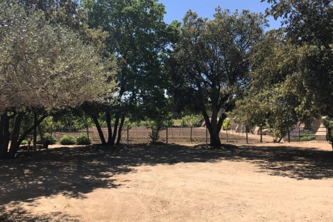 House zum Verkauf in Palafrugell, Girona, Spanien Nr. 141152 - Foto 21