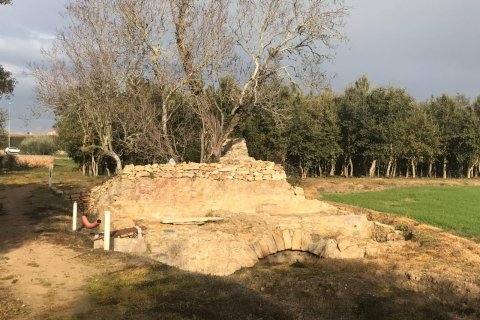 House zum Verkauf in Palafrugell, Girona, Spanien Nr. 141152 - Foto 19