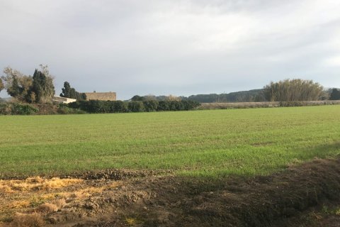 House zum Verkauf in Palafrugell, Girona, Spanien Nr. 141152 - Foto 22