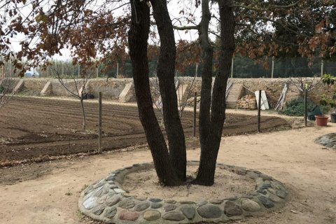 House zum Verkauf in Palafrugell, Girona, Spanien Nr. 141152 - Foto 18