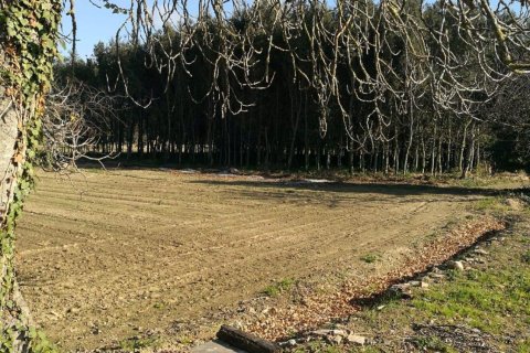 House zum Verkauf in Palafrugell, Girona, Spanien Nr. 141152 - Foto 27