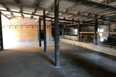 House zum Verkauf in Palafrugell, Girona, Spanien Nr. 141152 - Foto 15