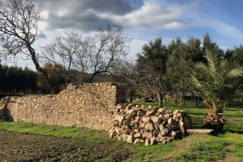 House zum Verkauf in Palafrugell, Girona, Spanien Nr. 141152 - Foto 20