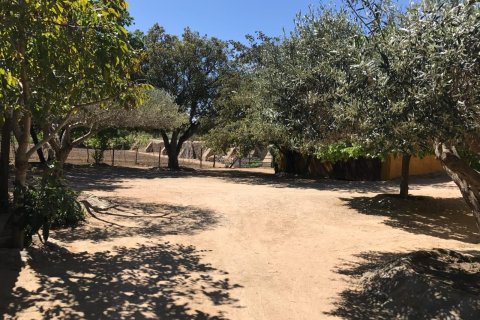 House zum Verkauf in Palafrugell, Girona, Spanien Nr. 141152 - Foto 25